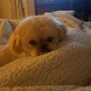 Meet your Posher, Araceli